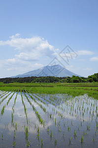 伊瓦特山和牧区景观蓝色绿色国家田园天空农场场地村庄蓝天图片