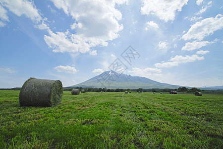 草地上稻草的圆圈天空季节乡村植物场地粮食收成农田农场干草图片