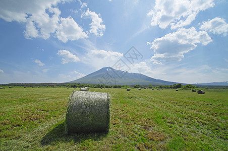 草地上稻草的圆圈粮食农场场地植物季节收成天空乡村干草农田图片