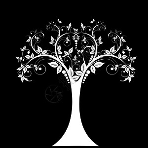 艺术树装饰树干植物叶子黑色季节生长插图风格白色背景图片