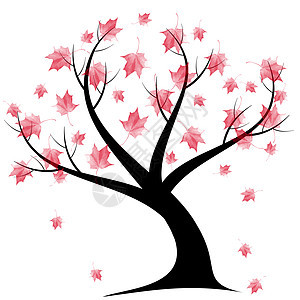 秋树树插图叶子黑色白色红色季节阴影植物群树干生长图片