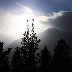 科罗拉多州洛基山脉风暴薄片公园生态栖息地荒野暴风雪国家风景绿地图片