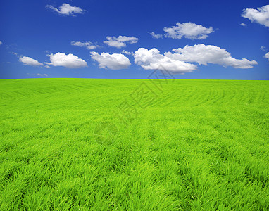 字段土地阳光农场绿色牧场全景风景天气场地农业图片