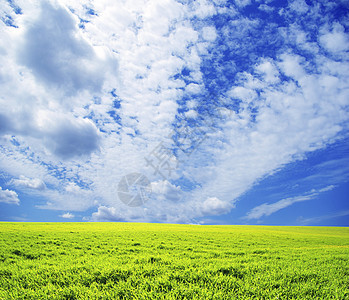 字段草地风景地平线全景植物农业天空土地阳光乡村图片