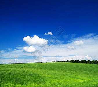 字段地平线农业场地农场阳光天气天空乡村牧场植物背景图片