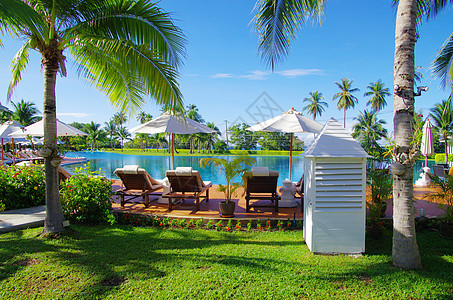 游泳池假期别墅异国海景水池码头太阳训练奢华椰子图片