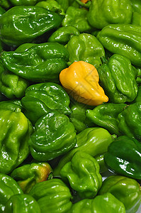 希列巴内罗美食胡椒调味品味道重量法士烹饪食物蔬菜烧伤图片
