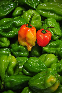 希列巴内罗味道辣椒香料烧伤调味品烹饪蔬菜饮食胡椒重量图片