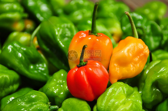 希列巴内罗农业调味品损失蔬菜橙子胡椒法士食物香料烧伤图片