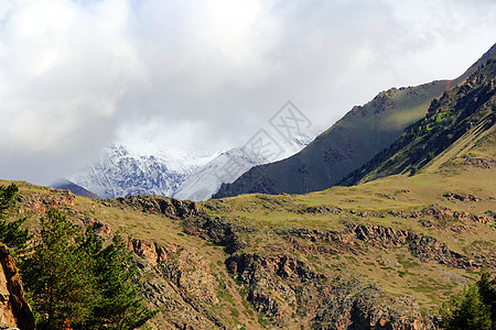 高加索山脉 Dombai季节叶子顶峰雪花风景全景悬崖下雪森林土地图片