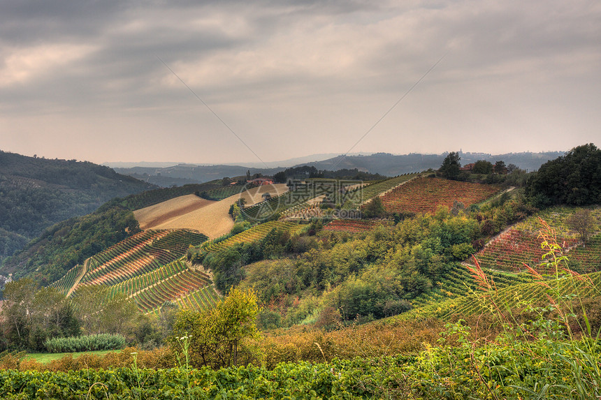 山丘和葡萄园秋天 意大利北部皮德蒙特季节旅行风景假期国家游客天空土地地标爬坡图片