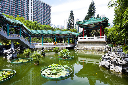 中华花园寺庙历史王朝晴天天空植物金子历史性橙子城市图片