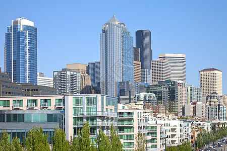 西雅图建筑公寓地点汽车大都会阳台企业都市街道地标树木图片