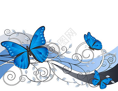 用蝴蝶做花粉插图曲线设计风格漩涡花语植物树叶昆虫花园元素图片