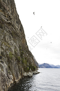 诺威海岸陡峭的岩石爬坡农村海岸线峡湾石头风景乡村海洋图片