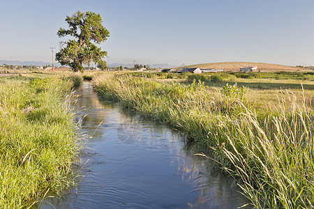科罗拉多的灌溉沟渠图片