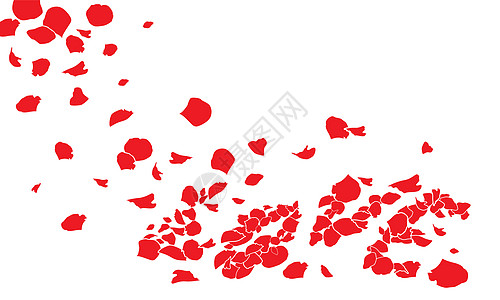 爱的玫瑰鲜花新婚概念植物群玫瑰插图夫妇夫妻运动婚礼图片