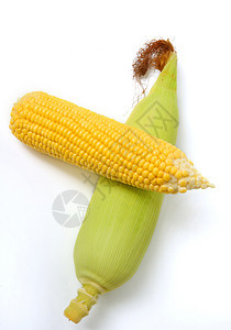 玉米角谷物内核棒子烹饪食物产品植物爆米花美食团体图片