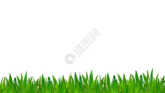 白背景上孤立的绿草公园框架运动草皮草本植物场地环境草地牧场足球图片