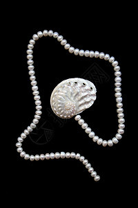 白珍珠和雀斑壳奢华项链反射珠子首饰细绳魅力手镯价值观珠宝图片