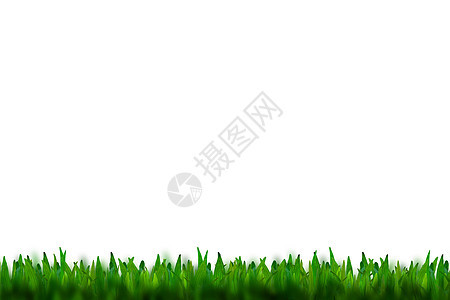 白背景上孤立的绿草草皮公园草本植物牧场足球场地植物环境土地草地图片