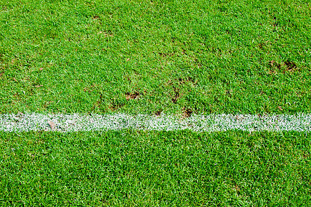 绿色足球场的白条纹 从最上方看植物场地足球沥青地面生长院子小路环境公园图片