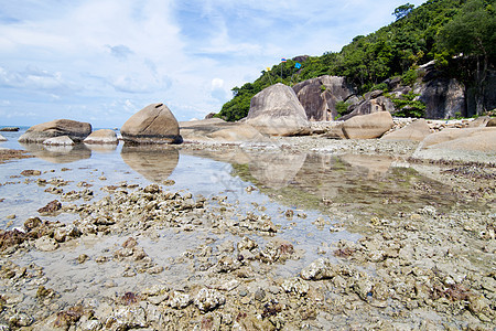 泰国高山水岛 海滩上堆积的岩石海湾支撑情调海岸棕榈旅行海洋假期旅游异国图片