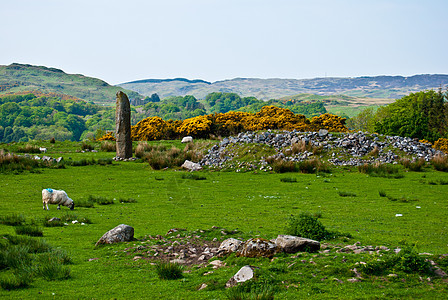 苏格兰风景乡村旅行丘陵背景图片