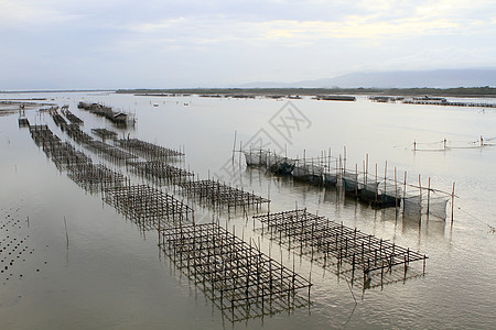 泰国壳鱼养殖场漂浮入口热带渔夫旅行贝类航海牡蛎海洋渔业图片
