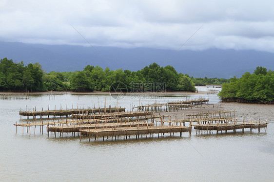 泰国壳鱼养殖场入口海景牡蛎热带航海海洋风景旅行渔业渔夫图片