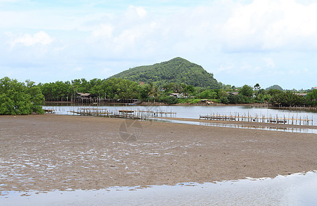 泰国壳鱼养殖场牡蛎海洋贝类漂浮航海入口热带海景旅行风景图片