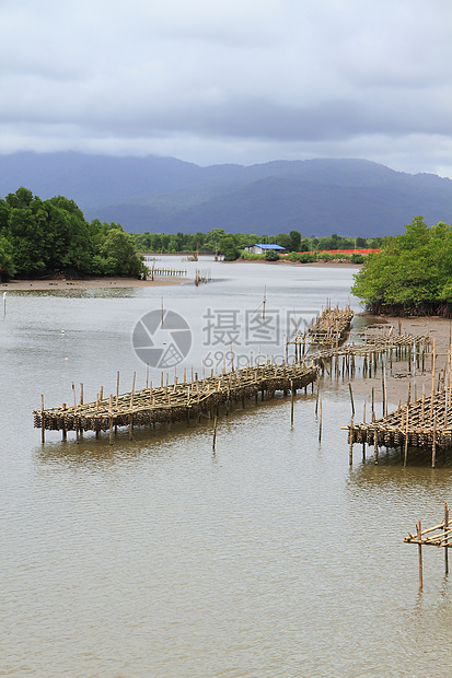 泰国壳鱼养殖场旅行海景风景渔业海洋牡蛎航海热带入口漂浮图片