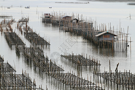 泰国壳鱼养殖场渔夫旅行海洋渔业航海海景入口热带风景牡蛎图片