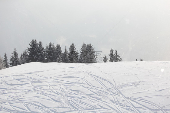 雪上滑雪痕迹冻结运动季节路线小路曲线国家蓝色粉末云杉图片