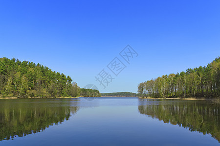美丽的森林湖太阳树木森林反射环境天堂土地蓝色风景阳光图片