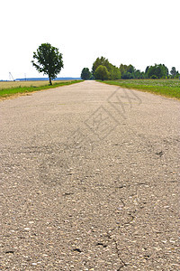 国家公路地平线环境绿色自由太阳土地风景季节植物踪迹图片