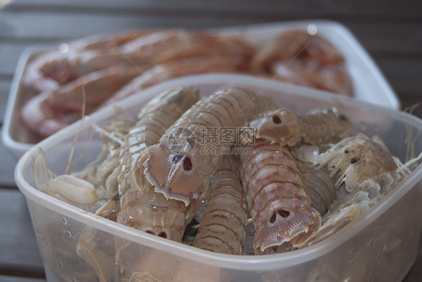 甲壳体食物螳螂食谱饮食大虾餐厅美食甲壳纲小龙虾贝类图片