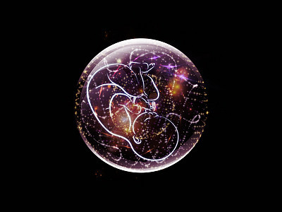 胎儿领地子宫星星胎位孩子胎盘作品墙纸胚胎星云插图图片