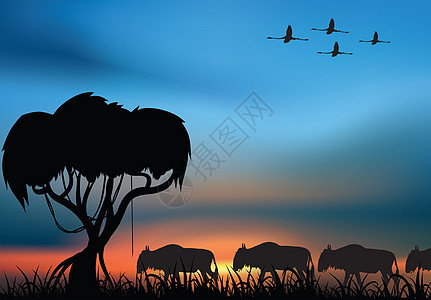 非洲热带非洲草原移民旅游旅行野生动物动物荒野哺乳动物动物群羚羊野兽图片