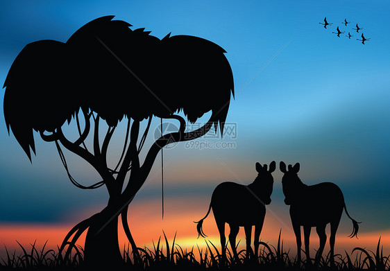 非洲草原上的斑马日出天空荒野哺乳动物野生动物旅游动物群旅行日落动物图片