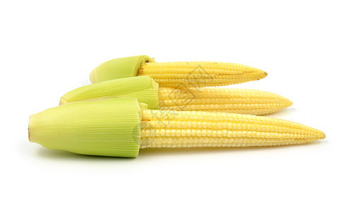 孤立的婴儿玉米团体蔬菜营养白色绿色棒子黄色食物图片