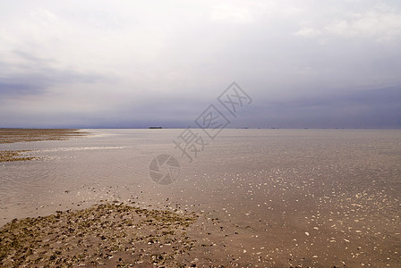 德国沃登海 霍尔姆奥兰泥滩地平线海岸潮汐农村全景岛屿低潮海滩牧歌图片