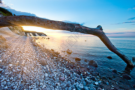 岩石海滩日落天空太阳光线树干阳光射线海洋太阳支撑图片
