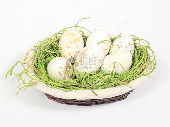 白本种生物养殖场的鹅蛋农业生物学团体白色蛋糕生活圆形美食营养母鸡图片