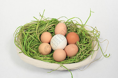 鸡蛋和鹅肉混合在篮子中营养脆弱性食物美食动物团体农业野鸡家禽蛋糕图片