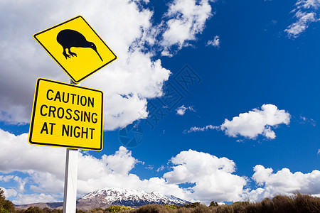 Kiwi交叉路标和Ruapehu NZ火山运输陨石橙子猕猴桃穿越菱形公园无翼鸟平胸雪帽图片