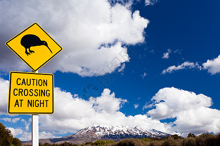 Kiwi交叉路标和Ruapehu NZ火山钻石奇异果平胸运输雪帽锥体国家指示牌蓝色地质学图片