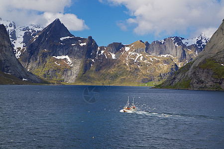 在fjord的渔船山脉大豆风景悬崖海鸥峡湾旅行顶峰钓鱼目的地图片