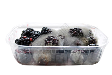 腐烂黑莓浆果水果黑色盒子白色模具塑料食物图片