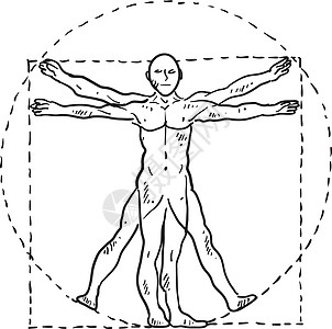 达芬奇人矢量草图图片